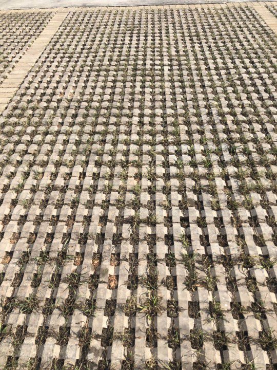 井字型植草砖